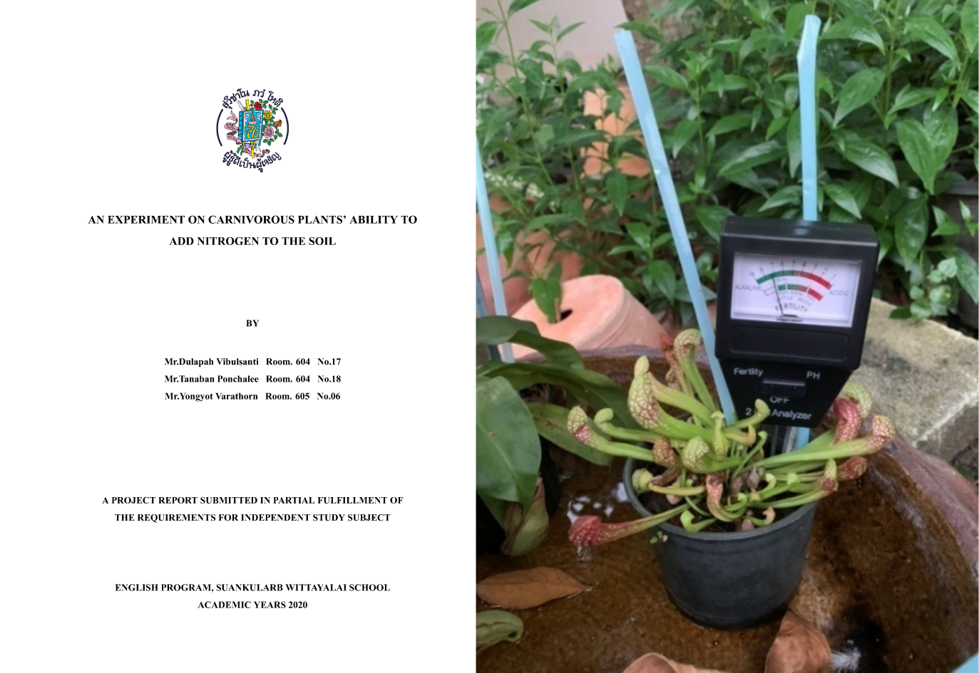 Biology project on carnivorous plants and soil nitrogen levels